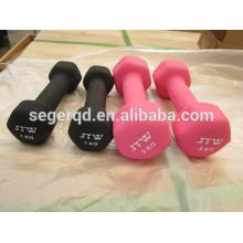 Iron plastic dumbbell weights kgs